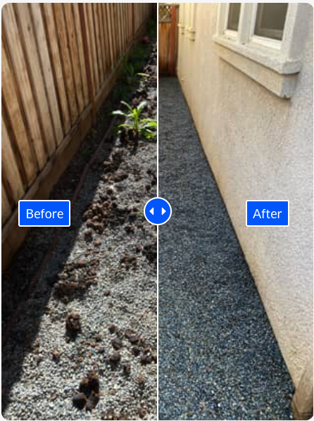 Before and After Product