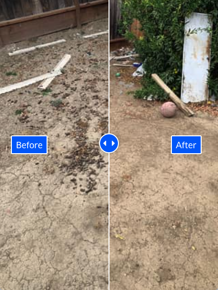 Before and After Product