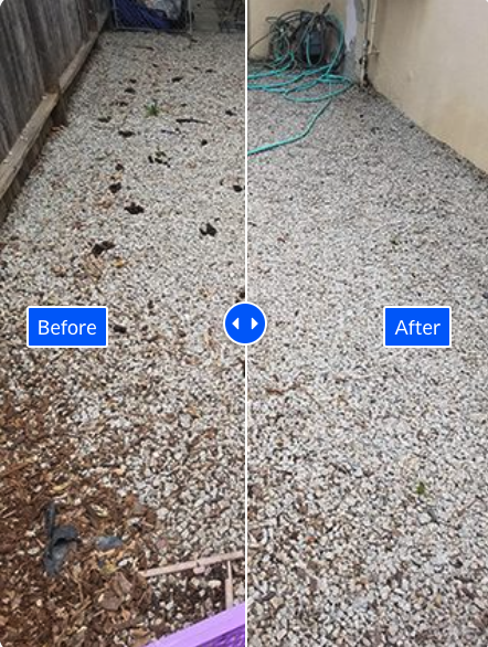 Before and After Product